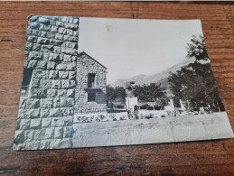 Postcard - Croatia, Gruda   (V 38125) - Kroatien