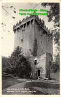 R450828 Ireland. Co. Cork. Blarney Castle. The Entrance To The Keep - World