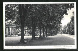 AK Bad Homburg V.d.H., Auf Der Brunnen-Promenade  - Bad Homburg