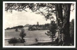 AK Onstmettingen, Raichberg, Nägelehaus Und Aussichtsturm  - Autres & Non Classés