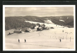 AK Feldberg Im Schwarzwald, Der Feldberghof Im Neuschnee  - Feldberg