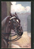 Künstler-AK Portrait Eines Rappen An Der Pferdebox  - Caballos