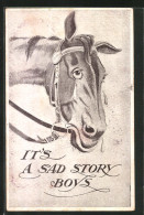 AK It's A Sad Story Boys, Weinendes Pferd  - Horses