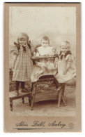 Fotografie Alois Loibl, Amberg, Portrait Zwei Kleine Mädchen In Karierten Kleidern Und Kleinkind  - Anonyme Personen
