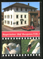 AK Burgsinn /Spessart, Hotel Bayerischer Hof Mit Autos, Schwäne  - Autres & Non Classés