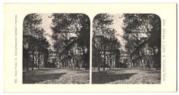 Stereo-Fotografie Lichtdruck Bedrich Koci, Prag, Ansicht Prag - Praha, Velkoprevorske Namesti S Kampy  - Photos Stéréoscopiques