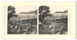 Stereo-Fotografie Lichtdruck Bedrich Koci, Prag, Ansicht Minas Gerais, Facenda Momfim, Südamerika Expedition 1907  - Photos Stéréoscopiques