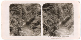 Stereo-Fotografie NPG, Berlin-Steglitz, Ansicht Oppenau, Allerheiligen, Eingang Zu Den Wasserfällen  - Photos Stéréoscopiques