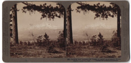 Stereo-Fotografie Underwood & Underwood, New York, Ansicht Mount Shasta / CA, Blick Vom Wald Zum Bergmassiv  - Photos Stéréoscopiques