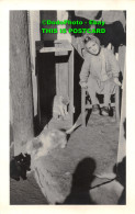 R451322 Cyprus. A Little Girl With A Perch Is Sitting On A Chair. Next To The Ca - World