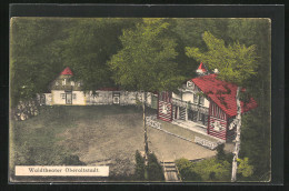 AK Trautenau / Trutnov-Oberaltstadt, Waldtheater Aus Der Vogelschau  - Tchéquie