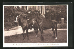 AK H. M. De Koningin En Z. K. H. De Rins Der Nederlanden  - Familles Royales