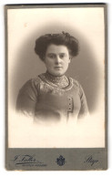 Fotografie J. Futter, Steyr, Pfarrgasse 14, Frau Im Bestickten Kleid  - Anonymous Persons