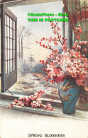 R451603 Spring Blossoms. The Photochrom. Exclusive Celesque Series. No. 1912 - Monde