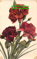 R451610 Roses. Wildt And Kray. The Natural Flowers. Series. 1908 - Monde