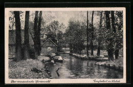 AK Lehde /Spreewald, Einfahrt Mit Booten  - Altri & Non Classificati