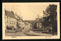 AK Triberg, Partie Der Neue Strasse  - Triberg