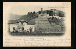 AK Ortenberg, Bahnhof Und Schloss Im Sonnenschein  - Sonstige & Ohne Zuordnung