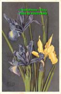 R452043 Iris. No. 995. Postcard. 1954 - World