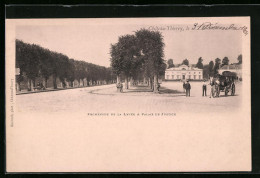 CPA Chateau-Thierry, Promenade De La Vevée & Palais De Justice  - Chateau Thierry