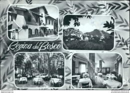 Bu97  Cartolina Rocca Di Papa Albergo Regina Del Bosco Provincia Di Roma Lazio - Autres & Non Classés