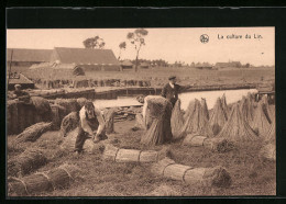 AK La Culture Du Lin, On Forme Les Bottes Avant Le Rouissage, Flachs  - Cultivation