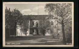 Foto-AK Bad Oppelsdorf, Ortspartie Mit Gebäudeansicht  - Sudeten