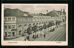 AK Dresden-Weisser Hirsch, Strassenpartie Am Parkhotel  - Dresden