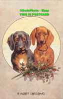 R452299 A Merry Christmas. Two Dogs. Max Ettlinger. Series. 5047. 1907 - Monde