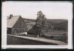 Fotografie Brück & Sohn Meissen, Ansicht Schellerhau I. Erzg., Partie Im Ort Mit Teilansicht Eines Wohnhauses  - Plaatsen