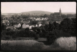 Fotografie Brück & Sohn Meissen, Ansicht Dahlen I. Sa., Blick über Die Dächer Der Stadt Zur Kirche  - Orte