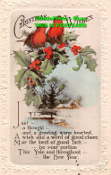 R452338 Christmas Wishes. Birds. The W. And K. RP - Wereld