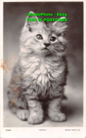 R452462 Kitty. Rotary Photographic Series - Wereld