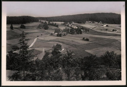 Fotografie Brück & Sohn Meissen, Ansicht Schellerhau I. Erzg., Blick Vom Wald Nach Dem Ort Mit Wohnhäusern  - Plaatsen