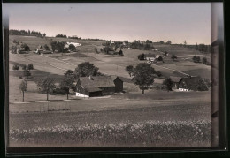 Fotografie Brück & Sohn Meissen, Ansicht Schellerhau I. Erzg., Blick Von Den Feldern In Den Ort Hinein  - Plaatsen