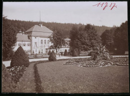 Fotografie Brück & Sohn Meissen, Ansicht Bad Elster, Partie Im Kurpark Mit Blick Zum Albertbad  - Places