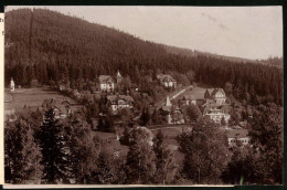 Fotografie Brück & Sohn Meissen, Ansicht Bärenfels I. Erzg., Blick Auf Den Ort Mit Villen  - Places