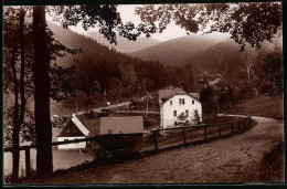 Fotografie Brück & Sohn Meissen, Ansicht Kipsdorf-Bärenfels, Partie Im Ort Mit Wohnhaus  - Places