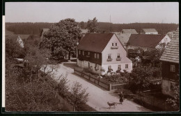 Fotografie Brück & Sohn Meissen, Ansicht Grillenburg, Partie Im Ort Mit Wohnhäusern, Frau Mit Ihrem Hund Auf Der Str  - Orte