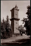 Fotografie Brück & Sohn Meissen, Ansicht Berggiesshübel, Partie Am Bismarckturm Auf Der Panoramahöhe  - Lieux