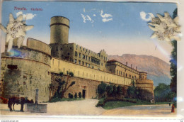 TRENTO  CASTELLO  MIT 2 GETROCKNETEN EDELWEISS - Trento