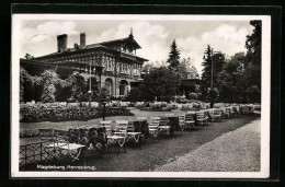 AK Magdeburg, Gasthof Herrenkrug Mit Terrasse  - Maagdenburg