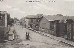 34)   LUNEL  - Avenue Gambetta - Lunel