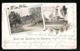 AK Eibenberg, Gasthaus Geiersberg Und Aussichtsturm  - Autres & Non Classés