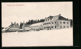 AK Haidmühle, Gasthaus Bayerwald Im Winter  - Other & Unclassified