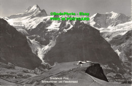 R453137 Grindelwald First. Schreckhorner Und Fiescherwand. Photoglob Wehrli AG - Welt