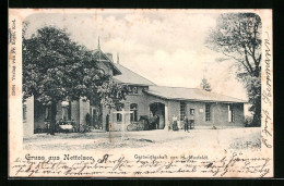 AK Nettelsee, Gasthaus Von H. Muxfeldt  - Sonstige & Ohne Zuordnung