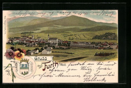 Lithographie Furth I. Wald, Totalansicht Aus Der Vogelschau  - Furth