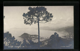 Cartolina Sestri Levante, Panorama  - Andere & Zonder Classificatie