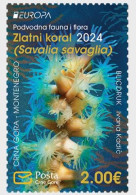 Montenegro 2024 Europa CEPT Underwater Fauna & Flora Gold Coral Stamp MNH - 2024